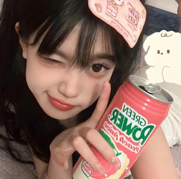 小狗吉米走私事件